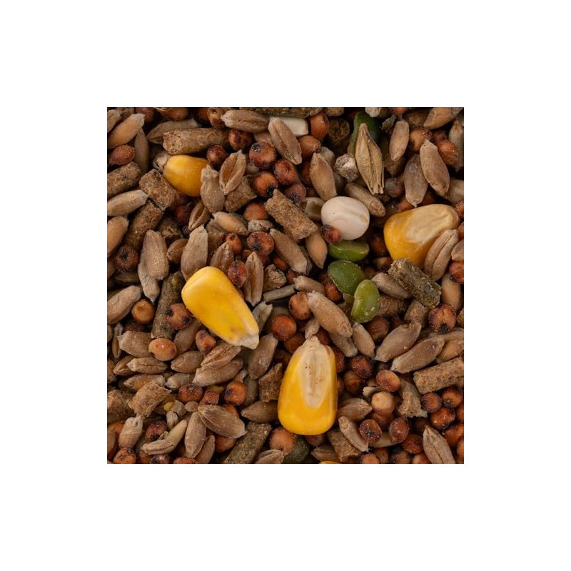 MEZCLA DE SEMILLAS P/PATOS 1 KG