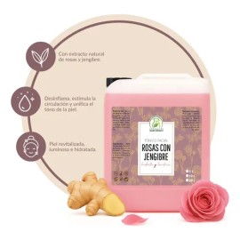 Tónico Facial Hidratante Productos Mart de Rosas y Jengibre para Día y Noche