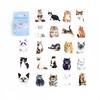 92 Sheets Stickers, Notebook, Cats, Dogs, Animals, Collage, Flowers, Stylish,