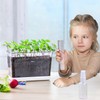 Oliz Self Watering Planters - 4 Pack Rectangular Clear Plant