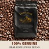 MATINÉE Wild Kopi Luwak Coffee Beans, Medium Roast, Whole Bean