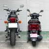 Motorcycle Cat, Beginner Mark, Plate & Reflector Stickers, Set of