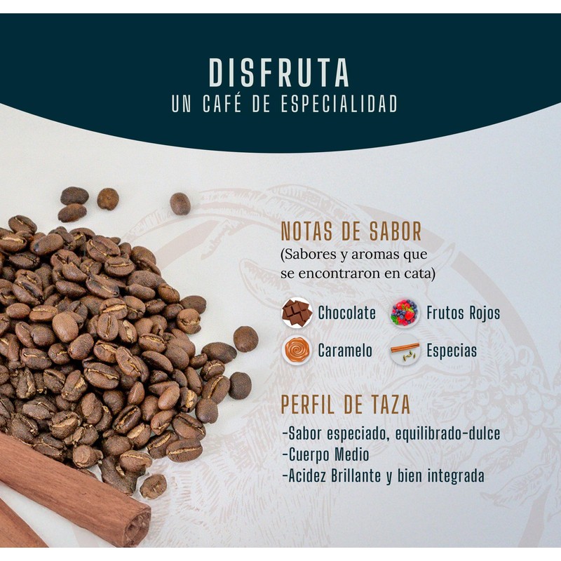 Café de Especialidad Premium Selvaggio en Grano 470 Gramos
