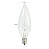Bulbrite KR25CTC/32 460025 Krypton Bulb, 25W, Clear