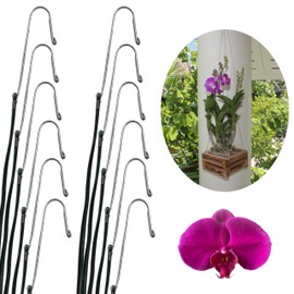 DESQUIGGLE Set of 12 Hanging Wires for Orchid Baskets and Hanging Planaters, 34 Inches Long with Strong Steel Hooks and Covered in Light Green Plastic