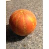 Unbranded PLUM GRANNY Melon-HEIRLOOM