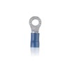 #8 Insulated Ring Terminal (16-Pack)