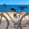 100cc Bicycle Motor Kit 36 Teeth 2-Stroke Petrol Engine for