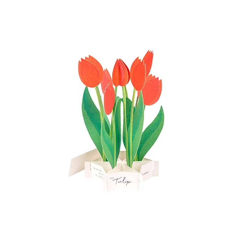 GreetingLife Greeting Life Blooming Card Tulip KE-36