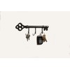 FantasHome Classic Wall Mounted Key Holder Hook Rack, Vintage Key