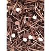 Copper Clout Nails 38mm x 3.35mm Roofing Nails Tree Stump
