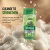 Vatika Naturals Cactus Shampoo & Conditioner Combo – Strengthens Weak