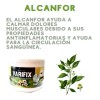 Gel Para Varices Con Romero, Árnica, Castaña De Indias.