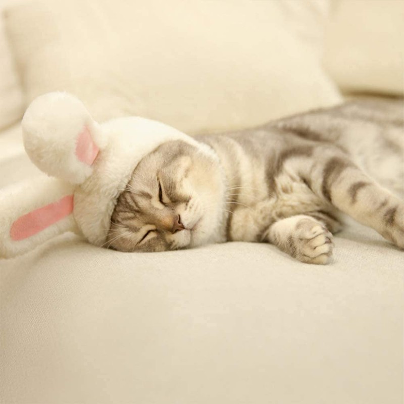 Rabbit Hat for Cats, Cat Cosplay, Rabbit Ears Transformation, Adjustable