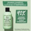 🌿🧴 Bumble and Bumble Seaweed Shampoo 250ml – Daily Gentle