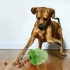 Ball Toy Pet Dog Bite Resistant Strawberry Leaking Ball 2