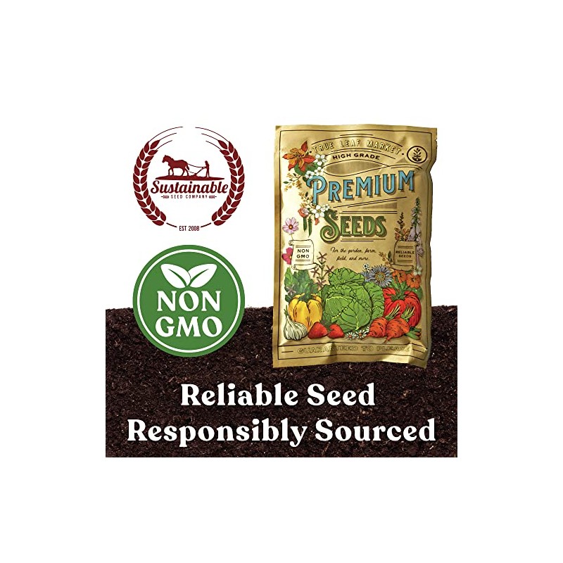 Organic Red Garnet Amaranth Microgreens Seeds - 1 Oz -