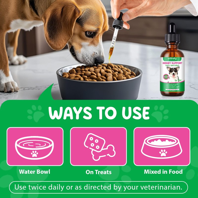 Kidney Support for Dogs,Kidney Function Support Drops for Balancing Body,