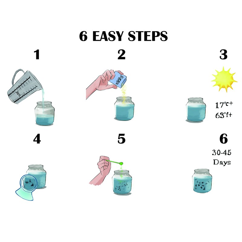 Aqua Dragons Starter/Refill, Kit