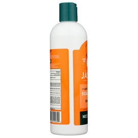 Jason Natural Products Shampoo Dandruff Relief 12 Fz (Pack of 12)