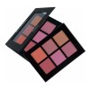 Paleta De Rubores Prolux K-070 Naranja