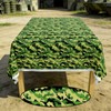 Glitzville Military Camouflage Plastic Tablecloth Army Theme Table Cover for