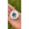 Pocket Pet Habitat Including Exotic Roly Poly Voucher (Pocket Habitat