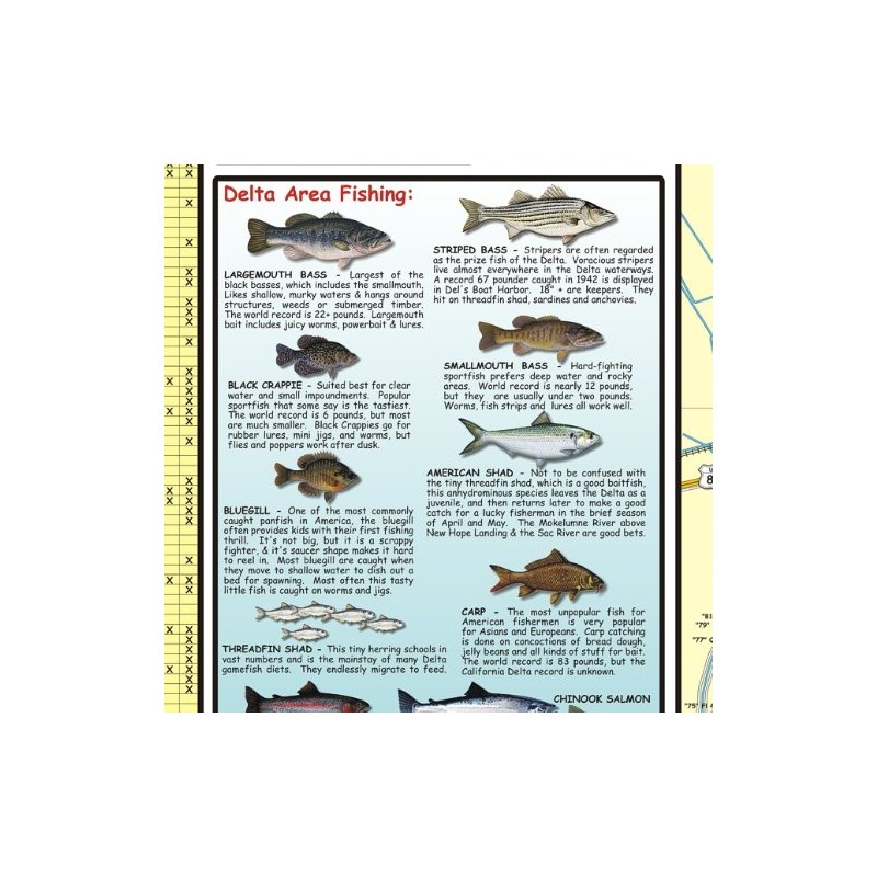 Franko Maps California Delta Waterway Map - Full Color, Watercolor