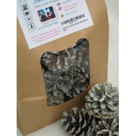 Aurora Cones, Colour-Changing Pine Cones for Fireplaces, Grills, Open Fire (Pack of 20).