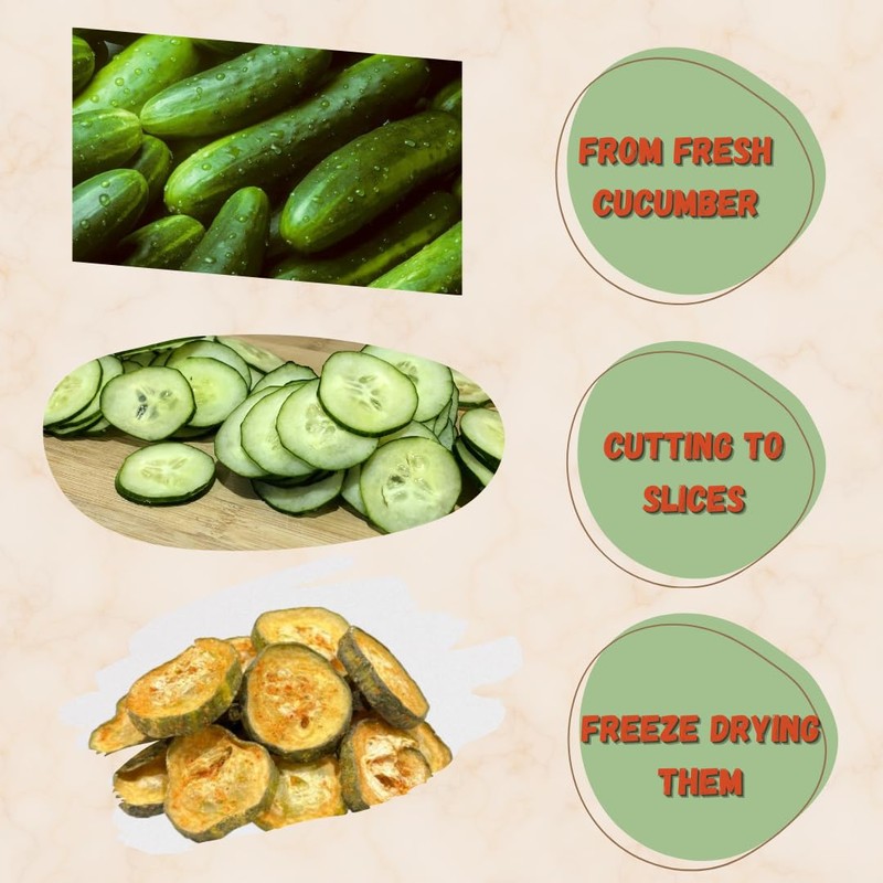 G-BOX Freeze Dried Cucumbers, Freeze Dried Veggies, Healthy Snack, Veggie