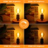 E12 Décor Globe g16.5 Candelabra Light Bulb 4W Dimmable ,