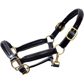 Aces Equine LEATHER HORSE HEADCOLLAR HALTER FULLY RAISED AND PADDED BLACK COLOR BRASS FITTING (SHETLAND)
