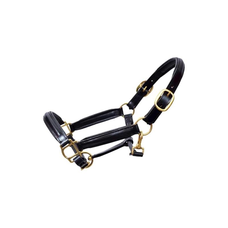 Aces Equine LEATHER HORSE HEADCOLLAR HALTER FULLY RAISED AND PADDED