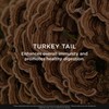 The Genius Brand Genius Turkey Tail - Plant-Based Supplement for