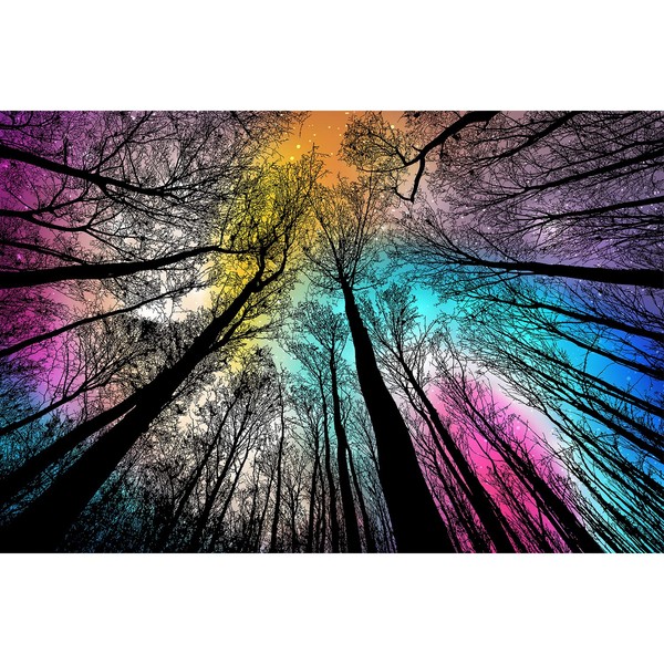 Bgraamiens Puzzle-Forest Under Starry Night-1000 Pieces Creative Color and Lines Jigsaw Puzzle Color Challenge Puzzle