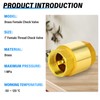 TAILONZ PNEUMATIC 2PCS Brass Check Valve 3/4" Female Thread, Backflow