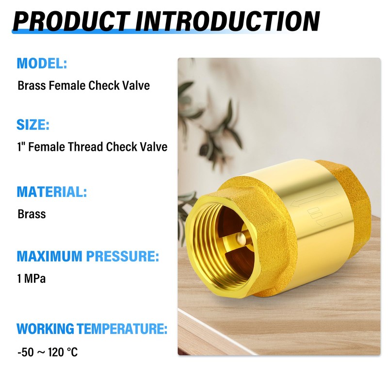 TAILONZ PNEUMATIC 2PCS Brass Check Valve 3/4" Female Thread, Backflow