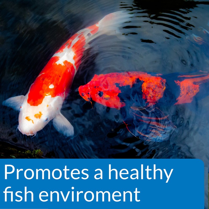 API POND ECOFIX SLUDGE DESTROYER Pond Cleaner And Sludge Remover