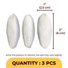 SunGrow Large Cuttlefish Bones for Cockatiels, Turtles, Shrimp, Dog Calcium,