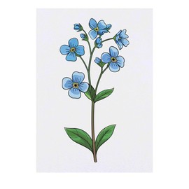'Forget Me Nots' Temporary Tattoo - Water Resistant, Skin-Safe, Non-Toxic Transfer (TO00076481)