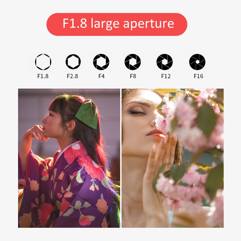 NEWYI 50mm F1.8 E Mount Large Aperture Portrait Manual Lens