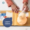Angelcare Lumicolor Bear Baby Night Light, Color-Changing and Rechargeable Kids
