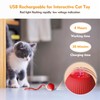 Doweve Interactive Cat Toys for Indoor Cats, Smart Moving Interactive