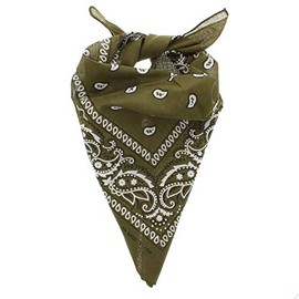 Zac's Alter Ego Retro Vintage Style Cowboy Paisley Bandana/Neckerchief/Durag