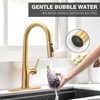 FROPO Gold Kitchen Faucets, Brushed Gold Kitchen Faucet with Pull