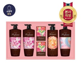 LG Household &amp; Health Care 24 Years LG Household &amp; Health Care Lunar New Year Gift Set Premium Shampoo &amp; Body Set / Holiday Gift Set / LG생활건강 24년 LG생활건강 설 선물세트 정성담은 샴푸&바디세트 프리미엄 /명절선물세트