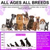 oimmal 15 in 1 Dog Multivitamins and Supplements, Dog Hip