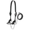 Weaver Leather Livestock Dairy/Beef Rounded Show Halter , Black, Large