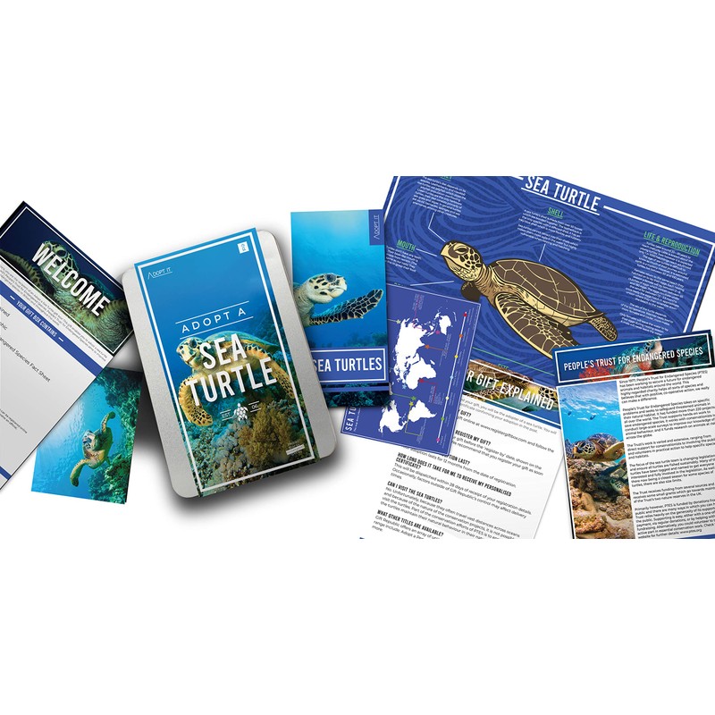 Gift Republic: Adopt a Sea Turtle