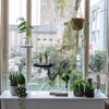 Esschert Design Germination Vase, Multiple Openings